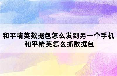 和平精英数据包怎么发到另一个手机 和平精英怎么抓数据包